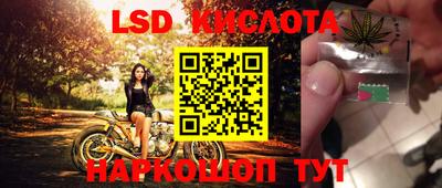 крисы Обь
