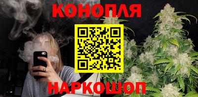 крисы Обь