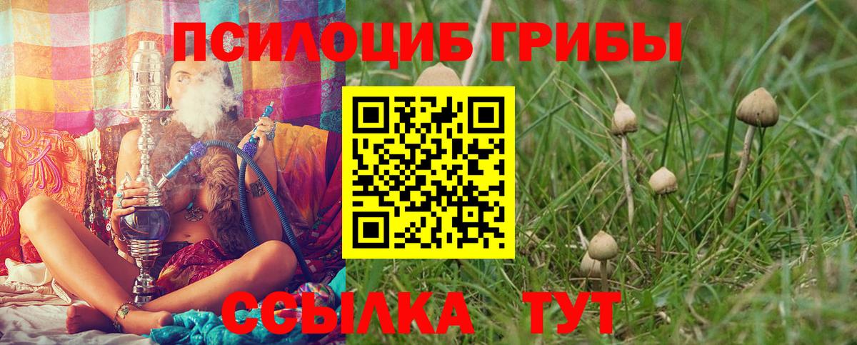 Галлюциногенные грибы мухоморы Химки